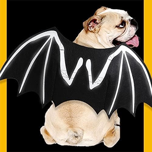 Pet Servo - Dog bat Costume, Suitable for Small, Medium and Large Dogs, for Halloween