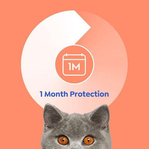 Cat with '1 Month Protection' text on an orange background at Pet Servo