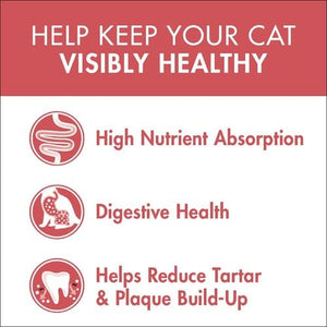 Purina One - 3kg Healthy Adult with Salmon and Tuna Dry Cat Food - petservo