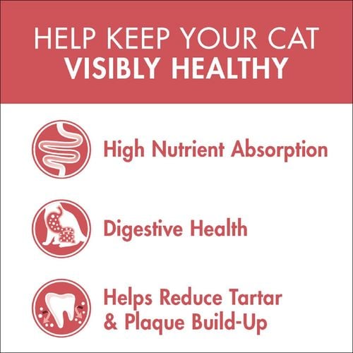 Purina One - 3kg Healthy Adult with Salmon and Tuna Dry Cat Food - petservo