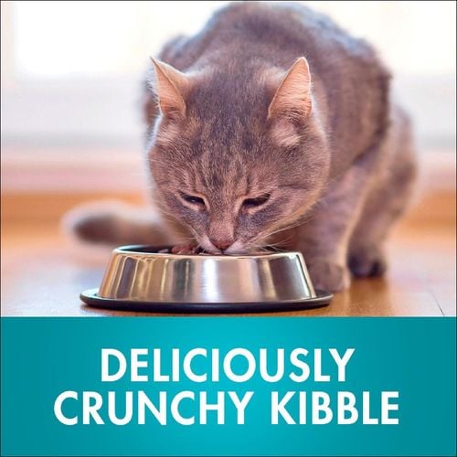 Purina One - 3kg Healthy Adult with Salmon and Tuna Dry Cat Food - petservo