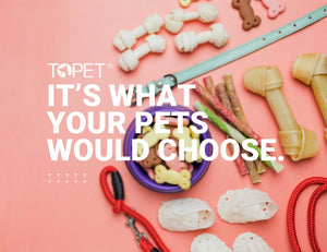 Chicken Coop Wood Barn with Ramp and Nesting Box Pet Hutch - Petservo