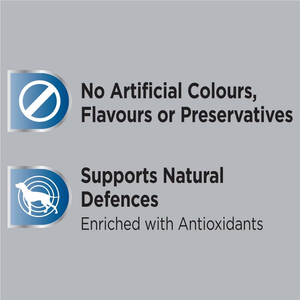 Optimum - Adult Wet Dog Food With Chicken & Rice Trays 100g X 6 Pack - Petservo