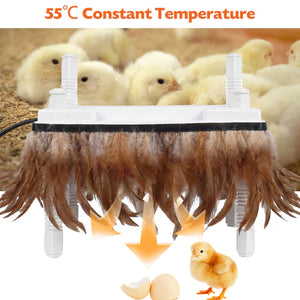 Heating pad with feathers surrounded by chicks and eggs, labeled '55°C Constant Temperature' at Pet Servo