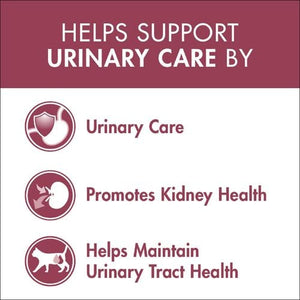 Purina One - 2.8kg Urinary Care With Chicken Dry Cat Food - petservo