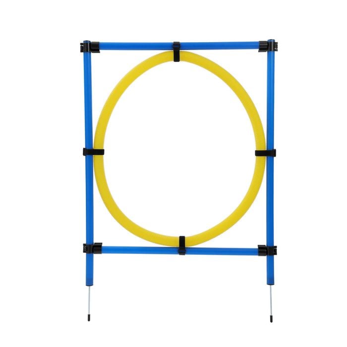 Paws & Claws - Dog Agility Hoop
