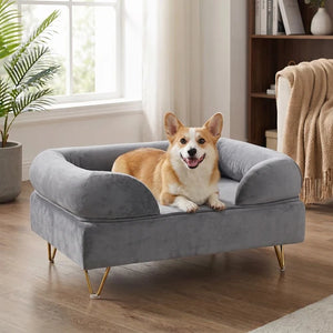 A tan and white Corgi lies on a plush gray velvet pet sofa bed with gold metal legs in a bright living room at Pet Servo