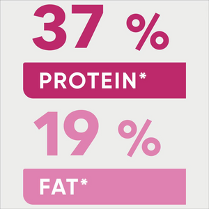 Optimum - Kitten 2-12 Months Dry Cat Food With Chicken 800g - Petservo