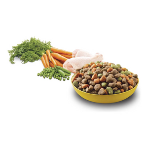 Pedigree - Adult With Real Chicken 3kg - Petservo