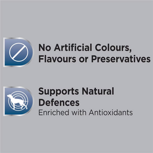 Optimum - Adult Wet Dog Food With Chicken & Rice Trays 100g X 24 Pack - Petservo