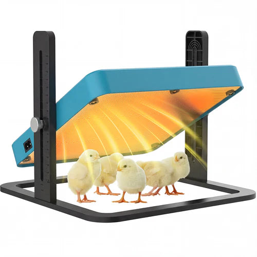 poultry heat lamp with chicks underneath on a white background at Pet Servo