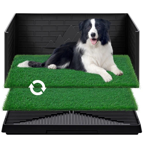 Dog lying on a pet toilet trainer with grass-like surface and black border at Pet Servo