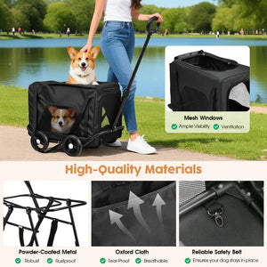 Pet stroller with a dog, shown outdoors by a lake, highlighting features like mesh windows and high-quality materials.