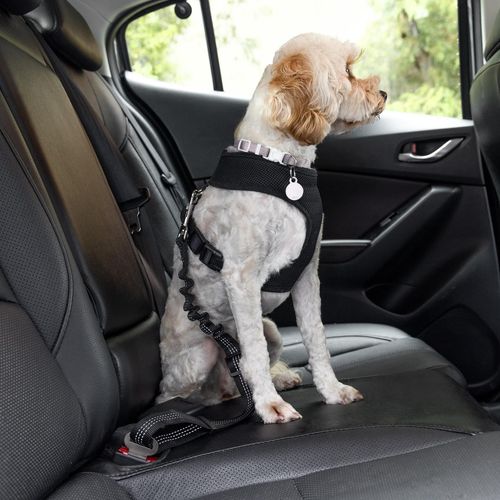 Happy Tails - Pet Seat Belt