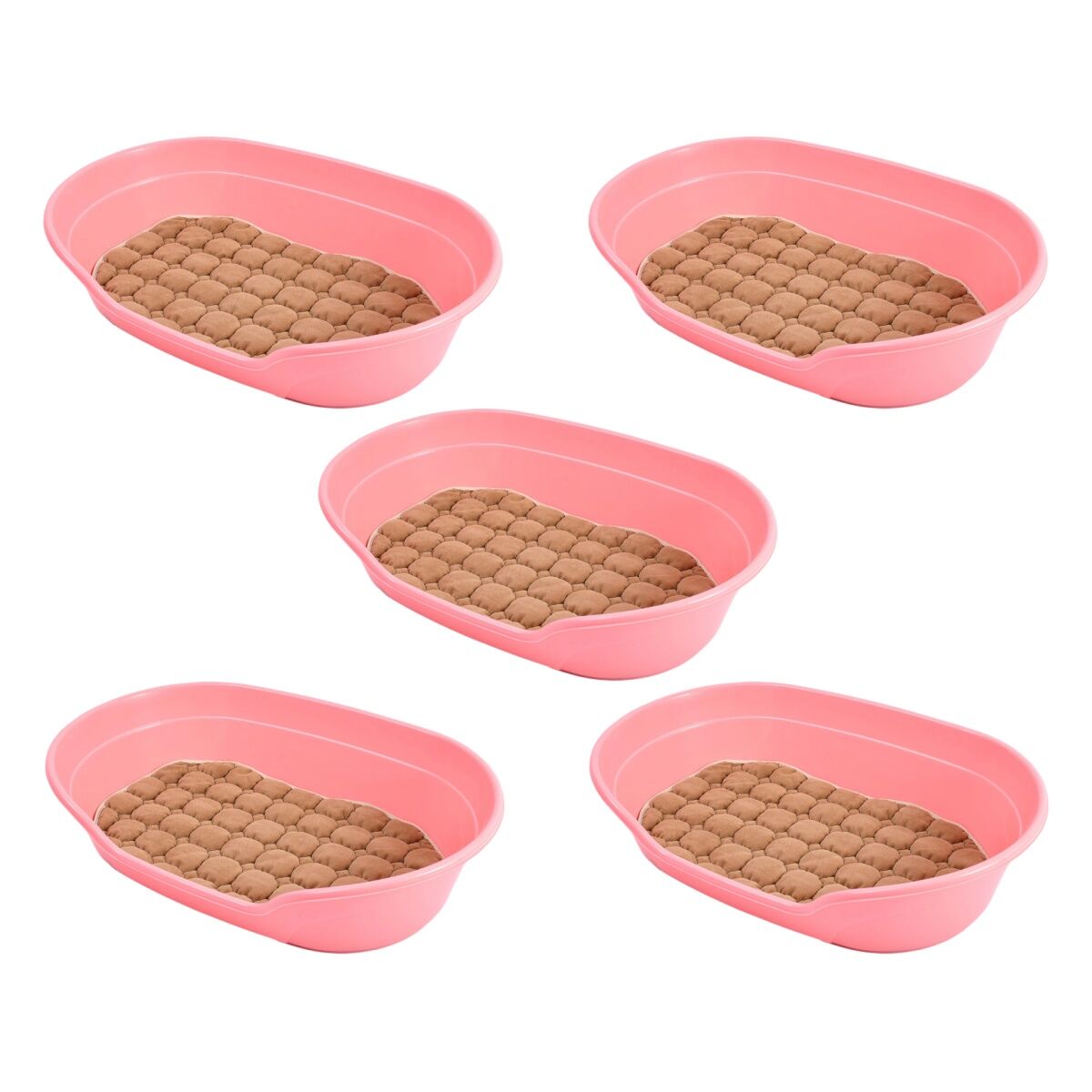 Five pink pet bowls with brown pet food on a white background at Pet Servo