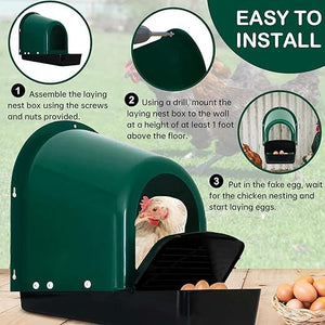 Green chicken laying nest box with assembly instructions and a chicken inside at Pet Servo