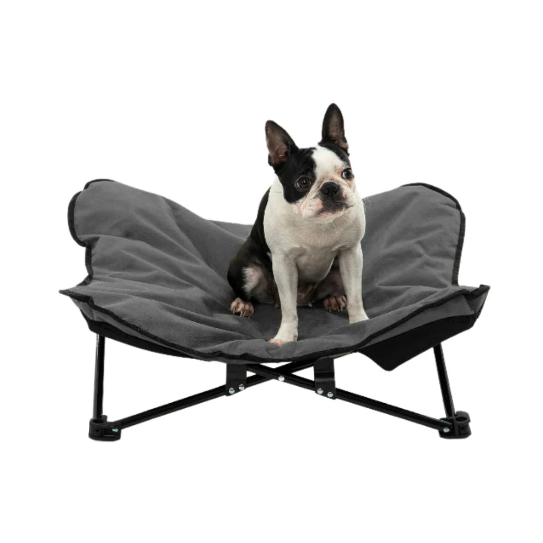 Charlie's - Butterfly Portable Folding Outdoor Pet Chair - Grey