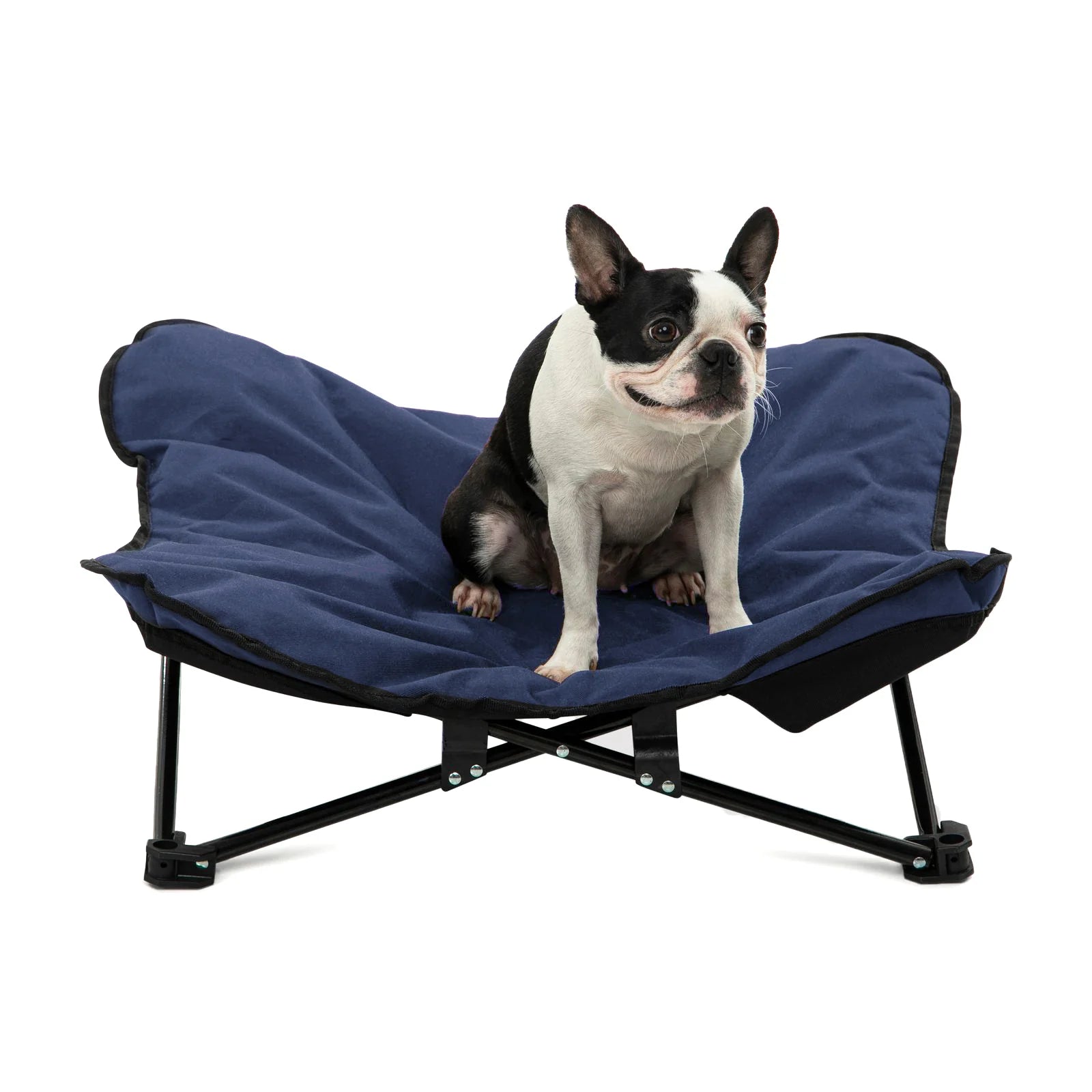 Charlie's - Butterfly Portable Folding Outdoor Pet Chair - Blue