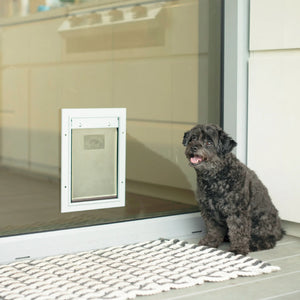 Deluxe Aluminium Pet Door Dog sitting on a mat in front of a glass door with a pet flap Small silver at Pet Servo