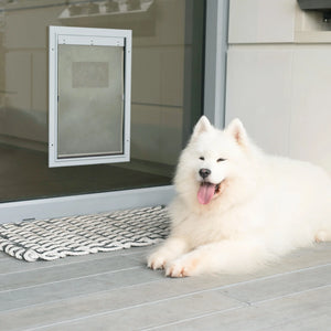 White dog sitting on a deck in front of a glass pet door.