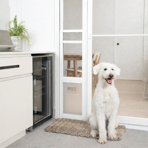 White dog sitting on a mat in front of a glass door in a modern kitchen.