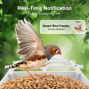 Shop Advwin Smart Bird Feeder with Camera AI Recognition at Pet Servo