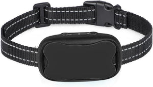 Black dog collar with a remote control on a white background at Pet Servo