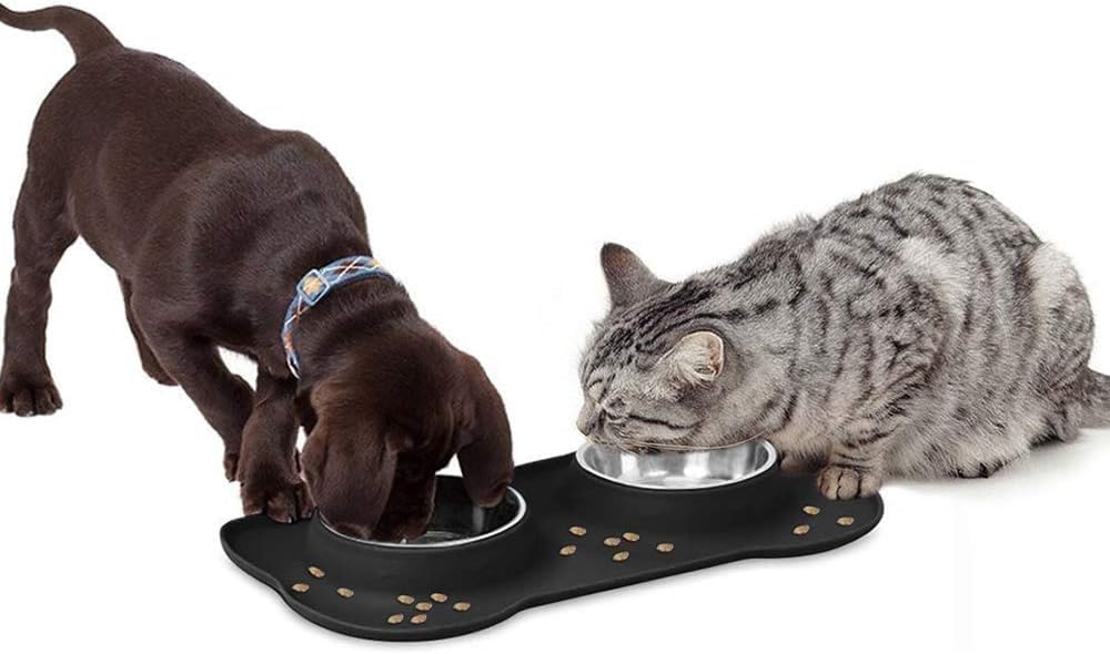 Dog and cat eating from a shared food bowl on a white background at Pet Servo