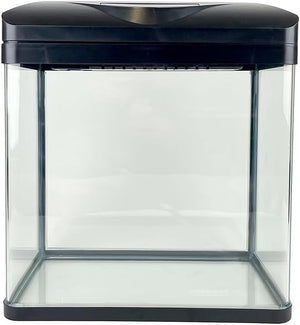 Clear rectangular container with black lid on a white background at Pet Servo