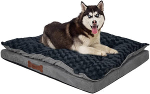 Dog lying on a large dog bed with a white background at Pet Servo