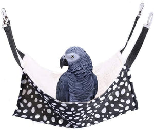 Gray parrot in a black and white polka dot bird hammock on a white background at Pet Servo