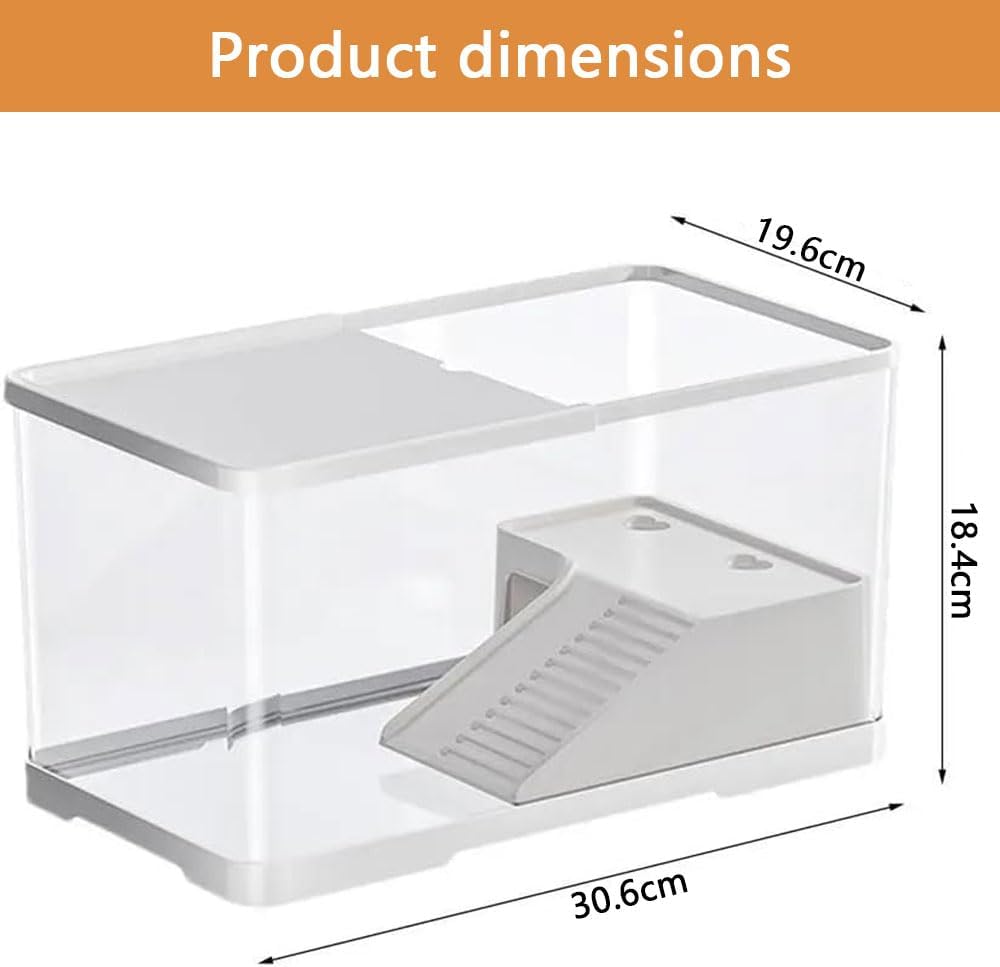 Clear acrylic display case with dimensions labeled on a white background at Pet Servo