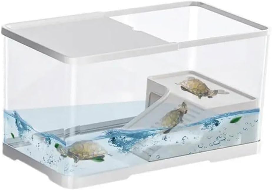 Tortoise tank with water and tortoises on a white background at Pet Servo