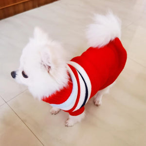 GHAOSG - Red Stripe Puppy & Kitten Knit Sweater - Petservo