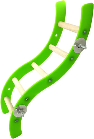 Green and beige climbing ladder toy on a white background at Pet Servo
