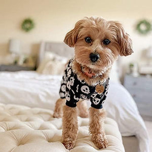 Small dog wearing a black and white skull-patterned outfit on a bed at Pet Servo