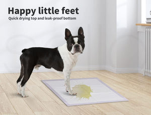 A Boston terrier dog stands on a rectangular pet pee pad in a bright room with light wood flooring and white walls. Text at the top reads 'Happy little feet' and 'Quick drying top and leak-proof bottom at Pet Servo