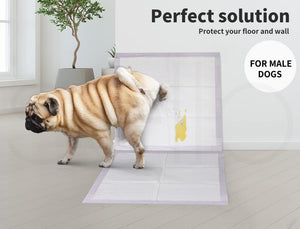 A fawn pug stands on a rectangular pet pee pad in a bright room, with its rear lifted to demonstrate use. Text on the image reads 'Perfect solution', 'Protect your floor and wall', and 'FOR MALE DOGS' at Pet Servo