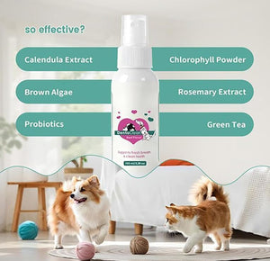 Dog and cat with a bottle of dental care product labeled 'Dentaclean' on a light background at Pet Servo