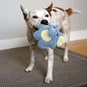 Dog playing with a blue and yellow toy on a carpeted floor at Pet Servo