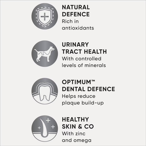 Optimum - Adult Toy Small Breed Dry Dog Food Chicken, Veg & Rice 3kg - Petservo