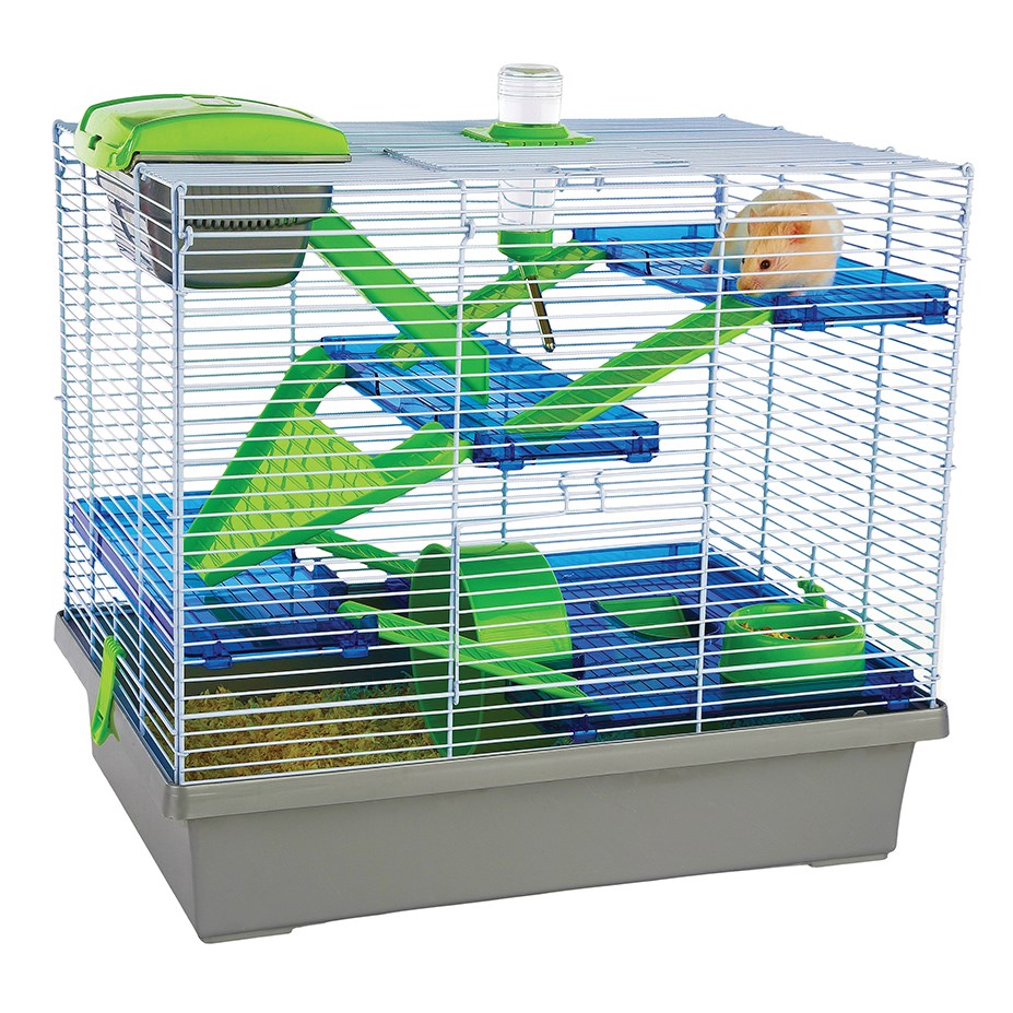 Shop online Rosewood - Pico XL Green/Silver at Petservo