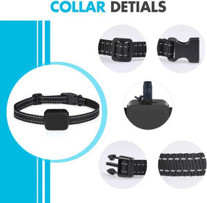 Pet collar with detailed view of buckle and strap on a blue and white background at Pet Servo