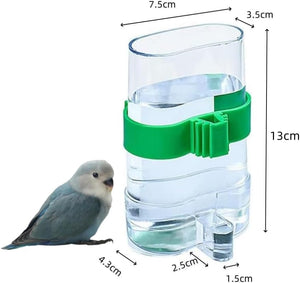Clear bird water bottle with green handle and measurements on a white background at Pet Servo