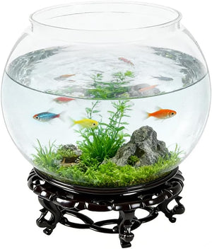 Round fishbowl with water, plants, and fish on a black stand at Pet Servo