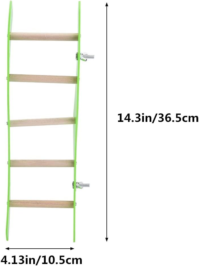 Wooden ladder with green frame and measurements on a white background at Pet Servo