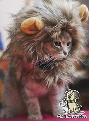 Cat wearing a lion mane costume with a visible brand logo in the corner at Pet Servo