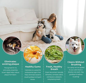 Woman sitting on a couch with two dogs, surrounded by images of pet care benefits at Pet Servo