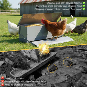 Chicken feeder with chickens in a grassy area, showing benefits and drawbacks at Pet Servo