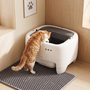 Cat using a modern self-cleaning litter box in a home setting at Pet Servo